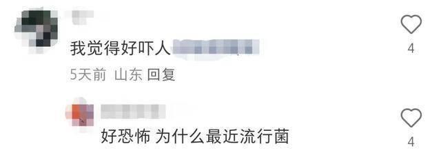 黏菌是什么？杭州小学生都在养的小众宠物，你了解吗？  第2张