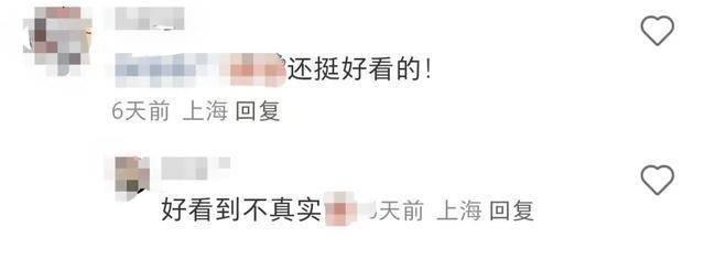 黏菌是什么？杭州小学生都在养的小众宠物，你了解吗？  第3张