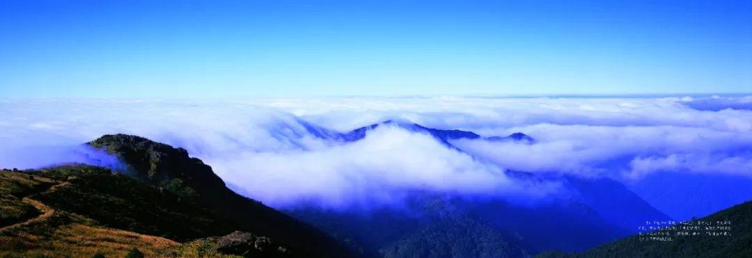 世界自然保护联盟授予武夷山国家公园世界级名片，你知道吗？  第3张