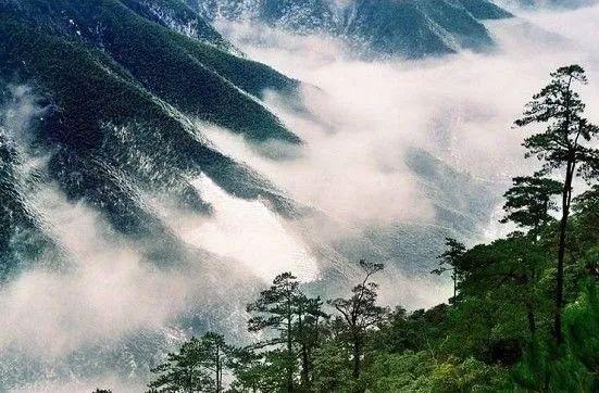 世界自然保护联盟授予武夷山国家公园世界级名片，你知道吗？  第4张