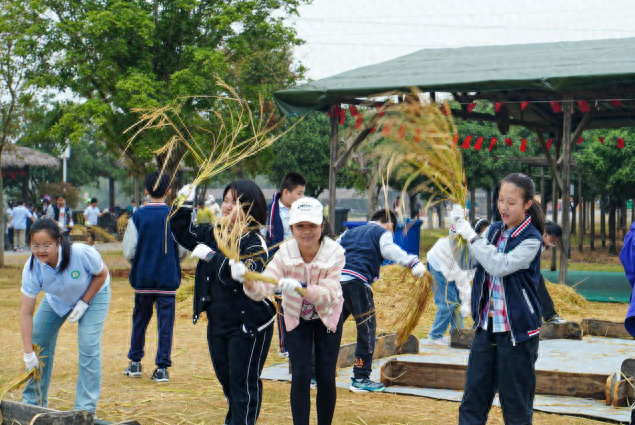 900 名小学生走进田园，体验收获快乐，感受劳动创造美好生活  第1张