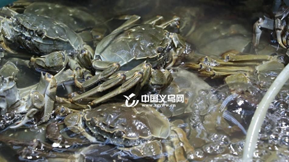 秋风起蟹脚痒，大闸蟹价格跳水！你还在等什么？