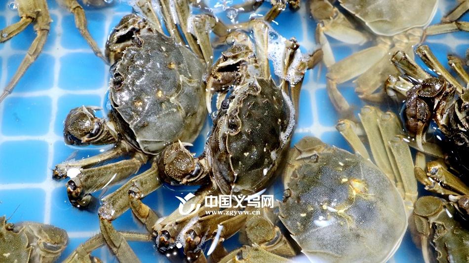 秋风起蟹脚痒,大闸蟹价格跳水!你还在等什么? 第2张 秋风起蟹脚痒,大闸蟹价格跳水!你还在等什么? 第2张