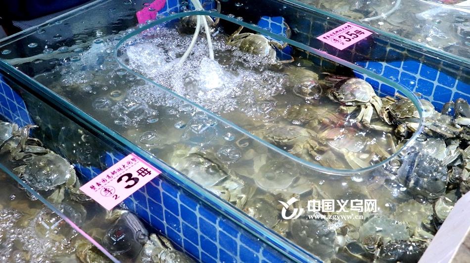 秋风起蟹脚痒,大闸蟹价格跳水!你还在等什么? 第3张 秋风起蟹脚痒,大闸蟹价格跳水!你还在等什么? 第3张