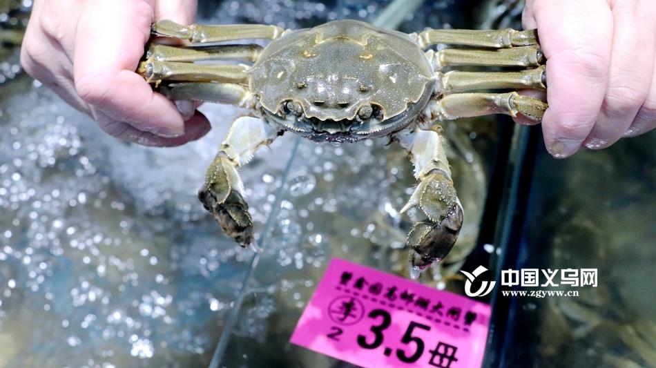 秋风起蟹脚痒,大闸蟹价格跳水!你还在等什么? 第4张 秋风起蟹脚痒,大闸蟹价格跳水!你还在等什么? 第4张