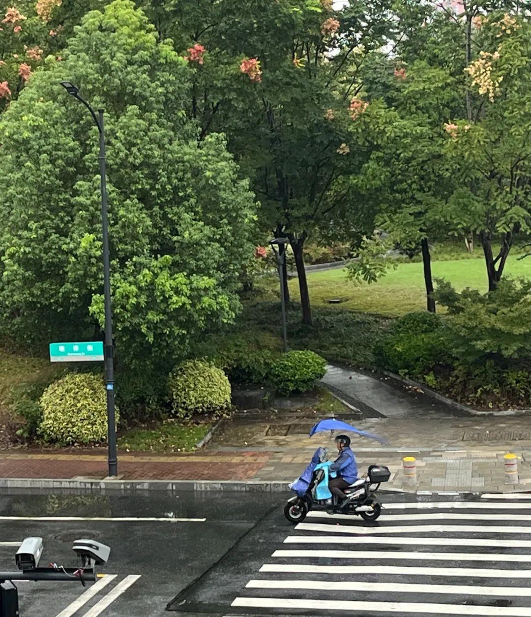 冷空气即将来袭！浙江气温如坐过山车，最大温差达 9.5℃  第2张