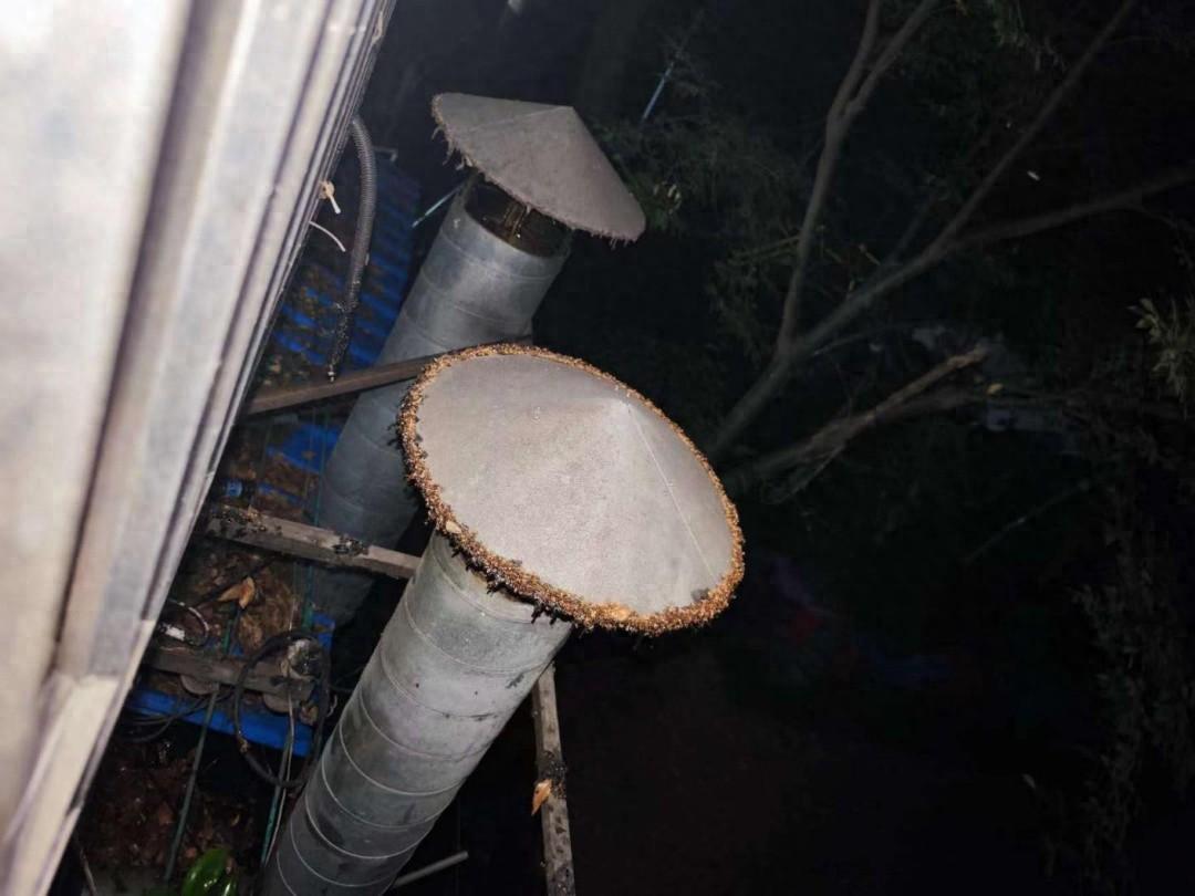 油烟直排危害大！执法队员现场普法，责令整改