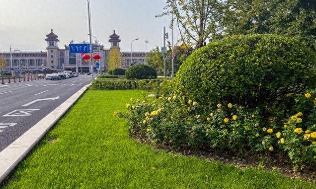 2024 年北京全面启动花园城市建设，东城区 5 条大街变身城市画廊，美爆了
