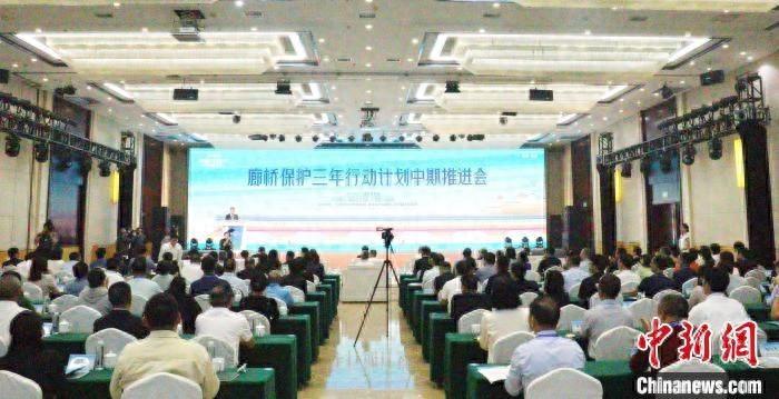 国家文物局副局长：廊桥虽小，却藏着文物建筑大保护之道  第1张