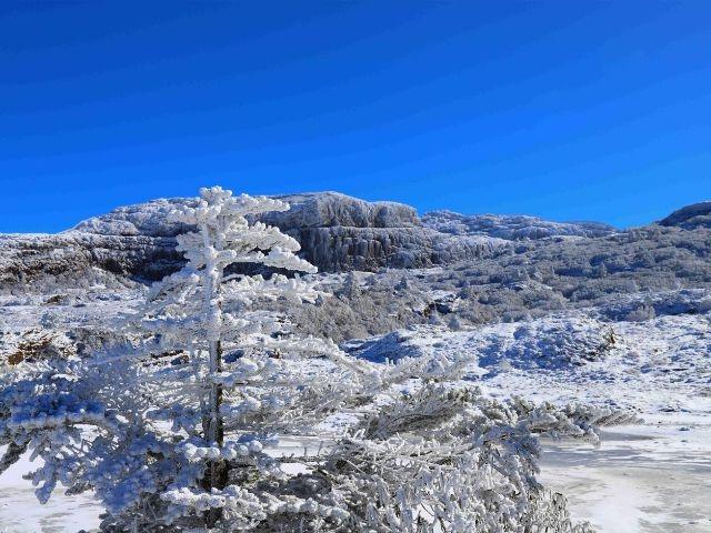 今秋第一场雪竟在这两地同时降临，美如仙境  第2张