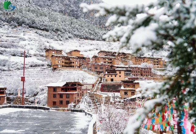 今秋第一场雪竟在这两地同时降临，美如仙境  第3张