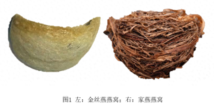 燕窝不是燕子窝，这些选购误区你中了几个？  第1张