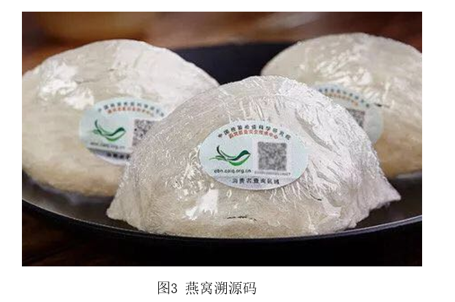 燕窝不是燕子窝，这些选购误区你中了几个？  第3张