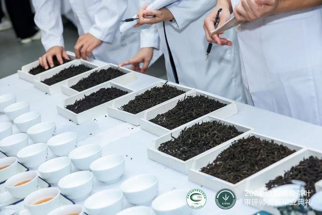 52 名学员齐聚杭州！首届高级茶叶审评师资班毕业典礼盛大举行  第2张