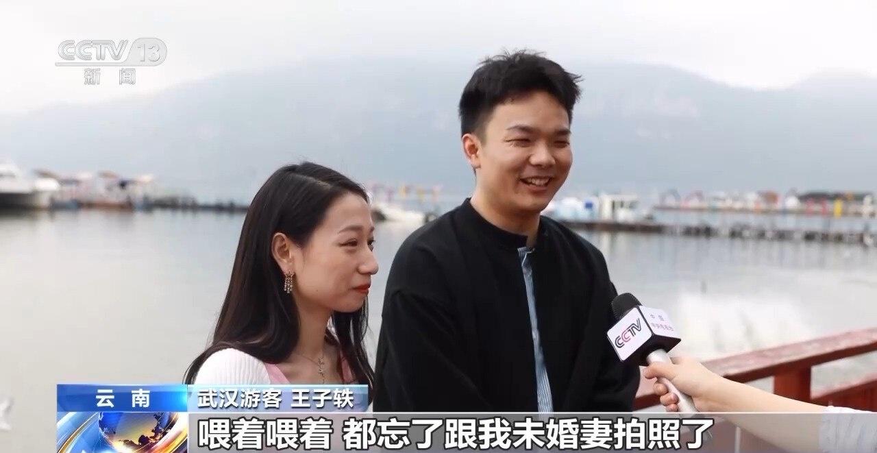 每年 10 月，数万只红嘴鸥从西伯利亚飞到昆明过冬，你见过吗？  第2张