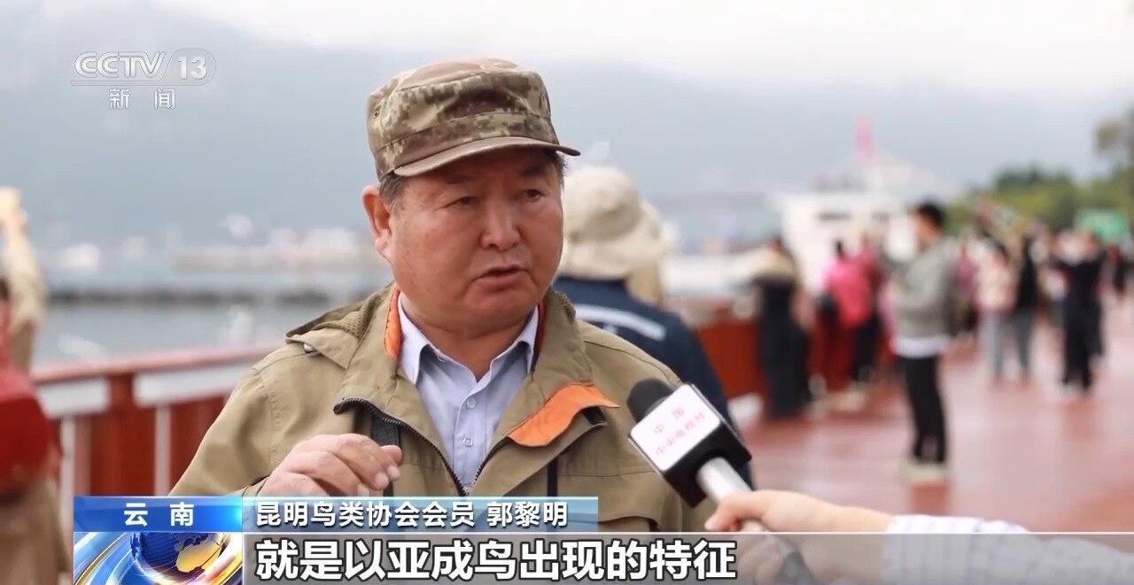 每年 10 月，数万只红嘴鸥从西伯利亚飞到昆明过冬，你见过吗？  第3张