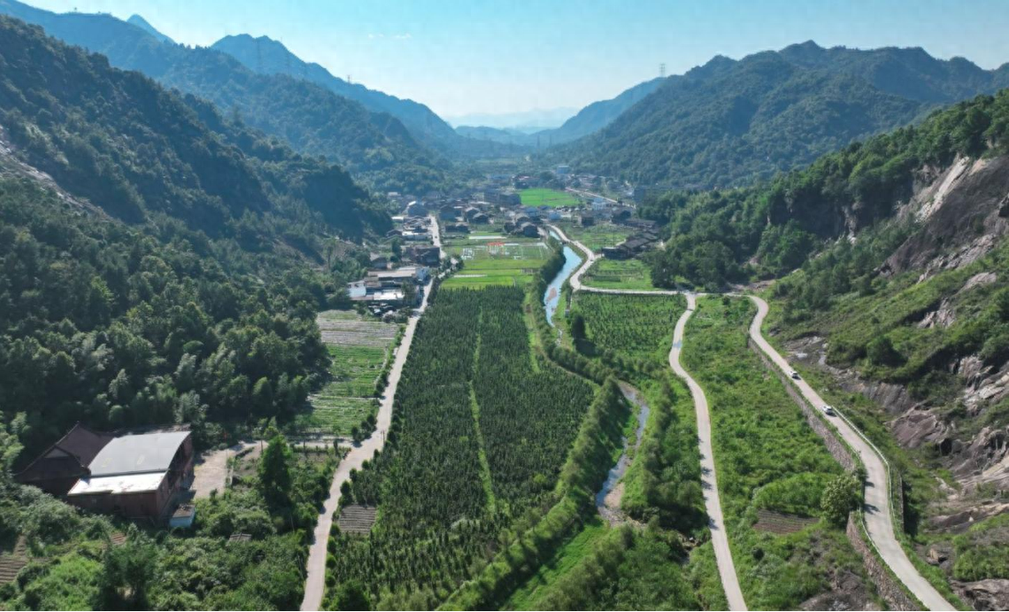 投资 1260 万！这个浙江小村庄凭啥变身网红打卡地？  第1张