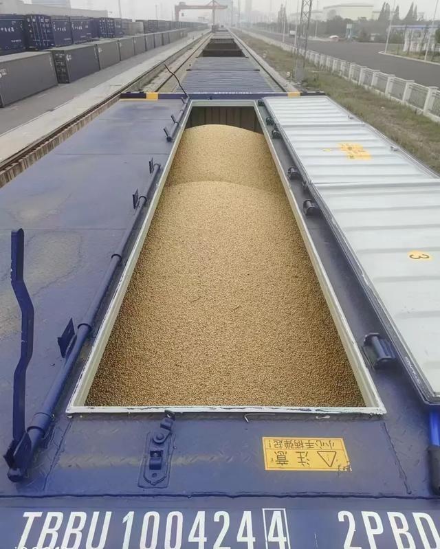 10000 吨阿根廷大豆！城陵矶港开启铁水联运新篇章  第2张