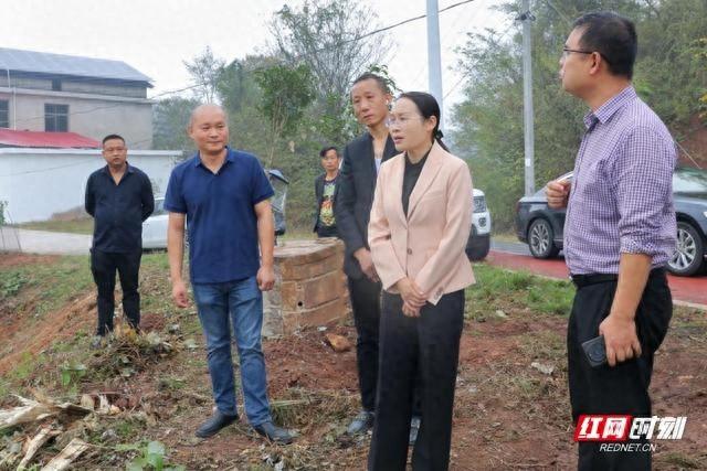 雁峰区委书记王燕实地调研，精品村创建和红色山林研学综合体项目建设情况如何？  第1张