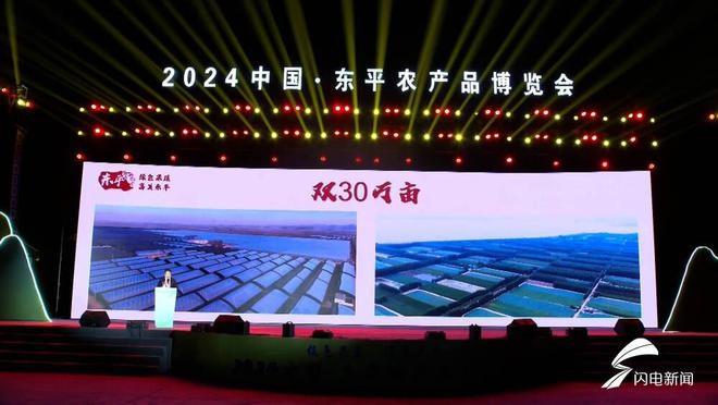春瓜秋椒轮作模式，让东平设施农业大丰收  第3张