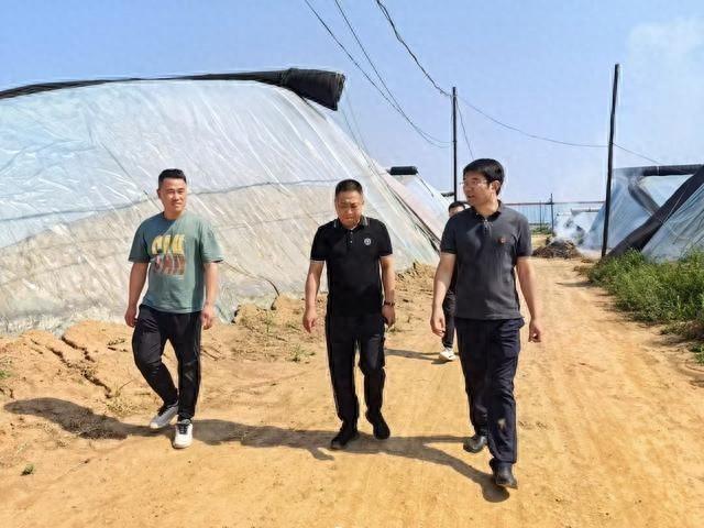 挂职干部蔺际武：真挂实干，在对口合作土地上寻找种金之术