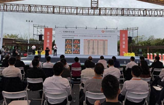 黄岩蜜橘季启动,千年古城的甜蜜产业如何振兴? 第1张 黄岩蜜橘季启动,千年古城的甜蜜产业如何振兴? 第1张