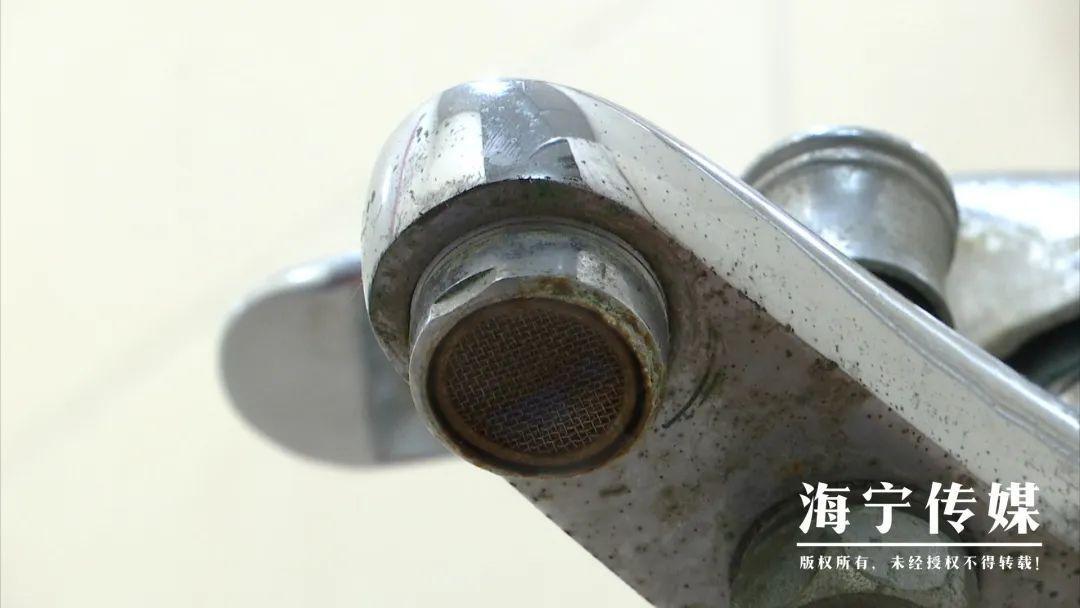 海宁一市民家中惊现怪虫，尾部像钳子，究竟是何物？  第4张