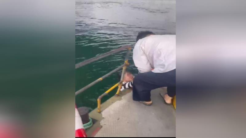 女子突然落水，水上公交驾驶员和水手迅速营救，他们能否成功？  第3张