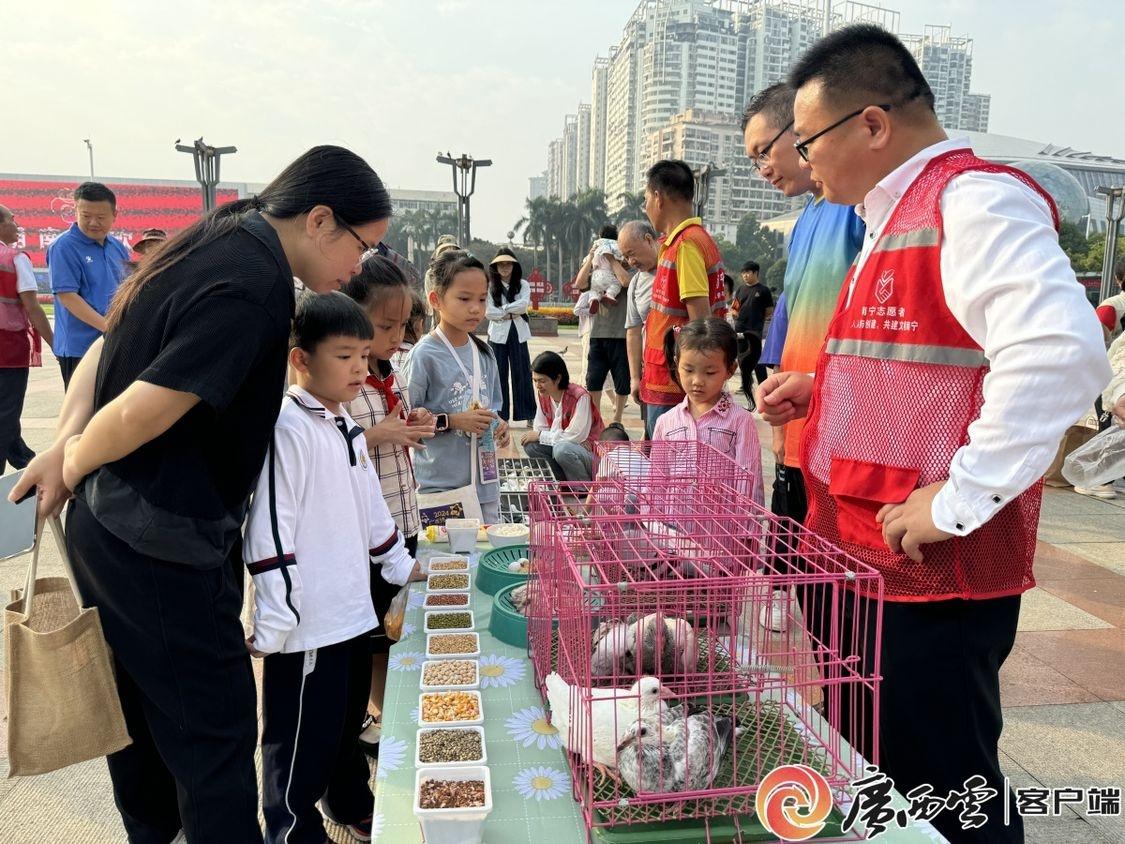 哇塞！小学生们竟在户外广场学习这些知识，你知道吗？  第3张