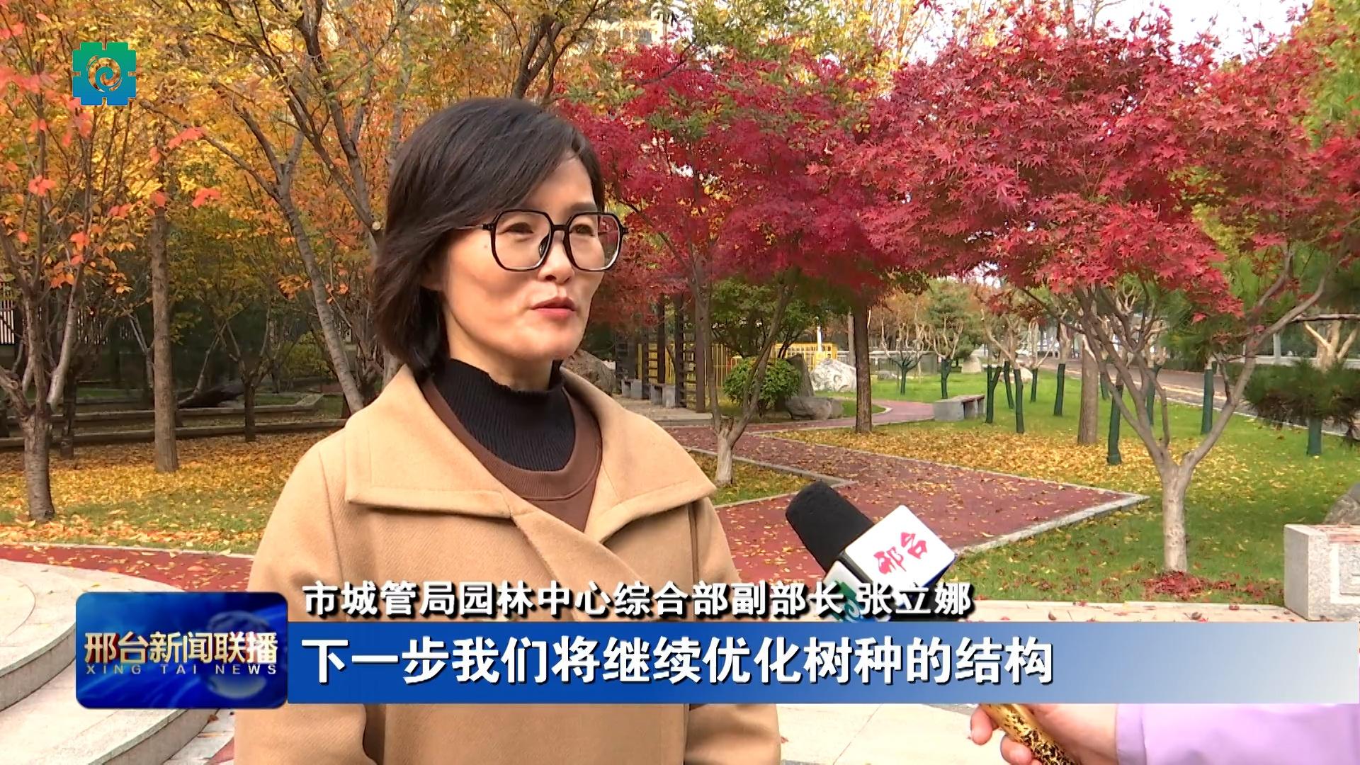 美爆了！我市公园街头五彩斑斓，宛如仙境，快来打卡吧  第4张