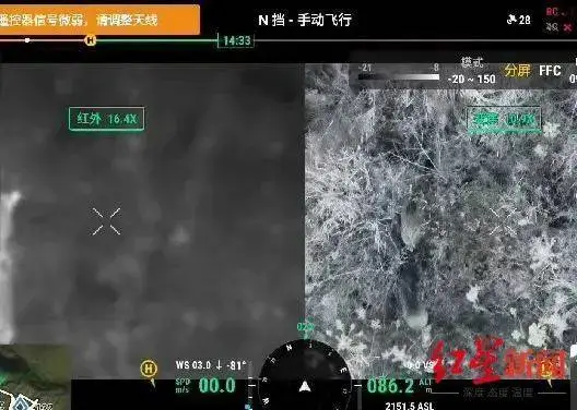 惊心动魄！川西高原猎人与野猪的生死对决，无人机全程直播