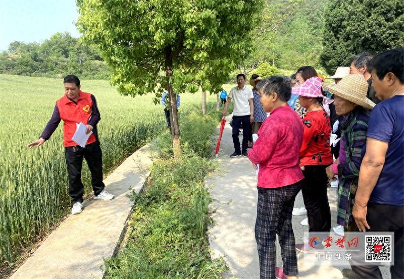 守护绿水青山，丹赵路街道办事处如何实现水清岸绿的生态奇迹？  第1张
