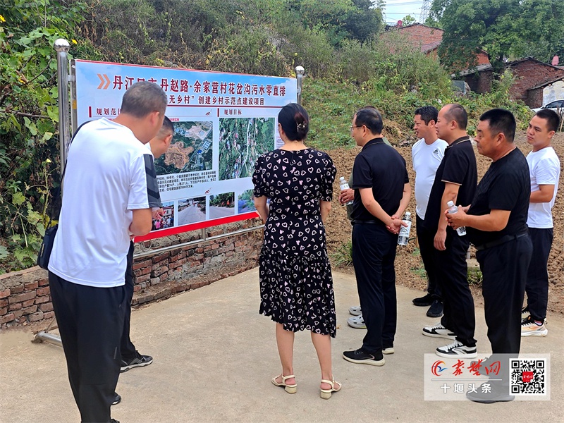 守护绿水青山，丹赵路街道办事处如何实现水清岸绿的生态奇迹？  第2张