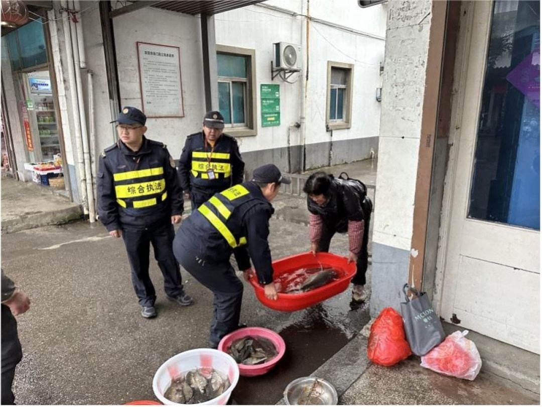 寒冬中的坚守：南浔区执法队员用行动温暖城市，守护市容与安全  第2张