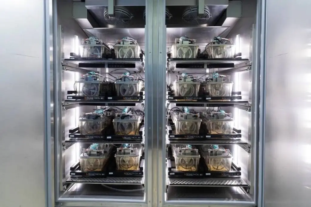 轻断食减脂效果显著，但你可能要为秀发付出代价  第2张