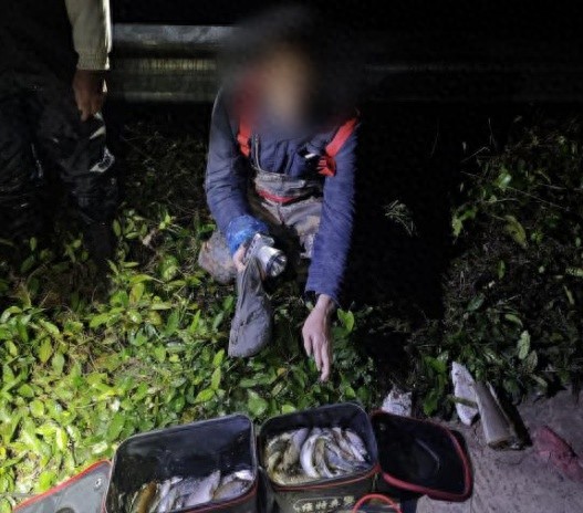 深夜河边神秘灯光闪烁，民警蹲守揭开非法捕捞真相  第1张