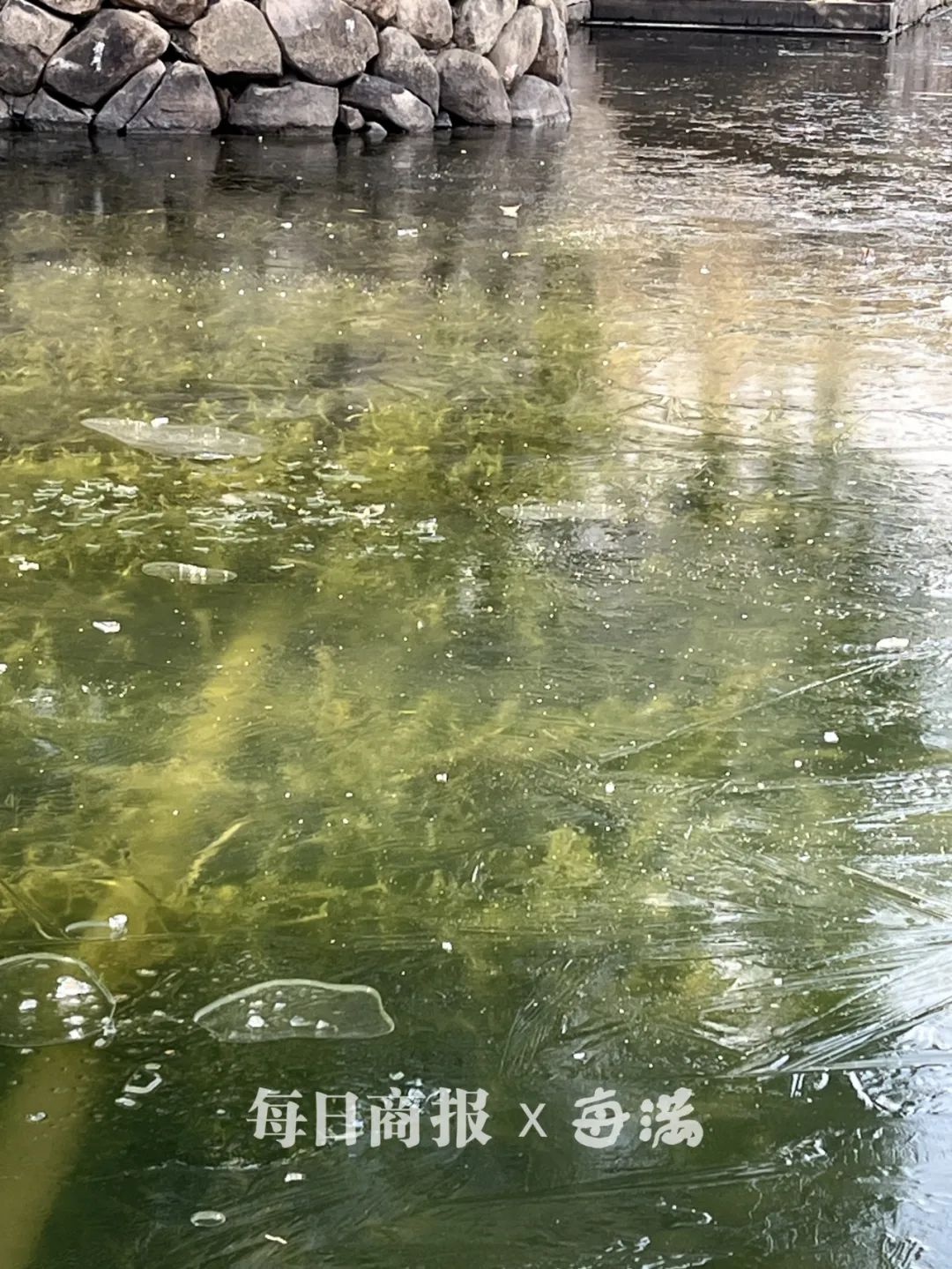 最低-4℃！两场冷空气来袭，未来一周阳光持续在线但冰冻上线，注意保暖  第3张