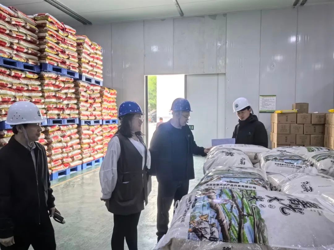 揭秘：审计局如何通过数字化手段助力城市精细化治理与民生保障  第4张