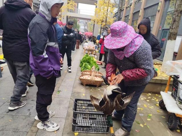 初冬赶集惊现珍稀农产品，市民疯狂抢购，你还在等什么？  第7张