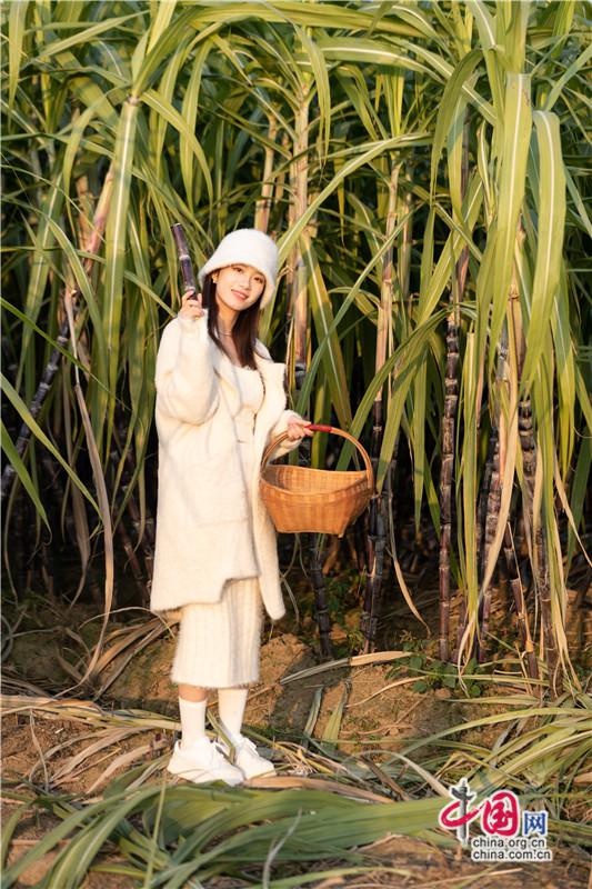 冬日温暖时光：在周庄古镇与香村，感受阳光、火锅与田园的惬意生活  第8张