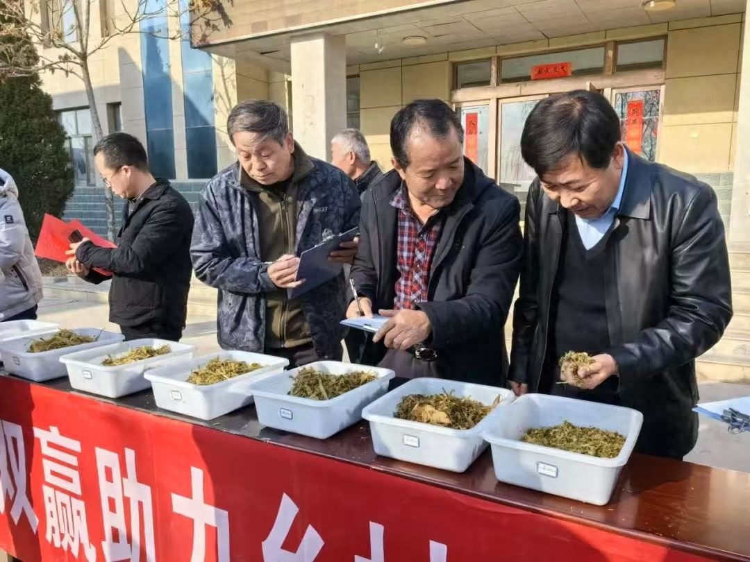 2024年粮改饲项目青贮饲草质量品鉴会：23家优等实施主体揭晓，助力乡村产业振兴