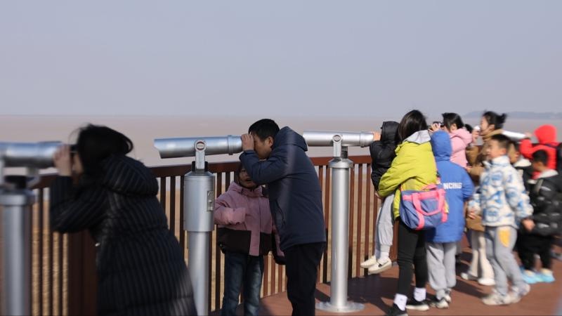 鄱阳湖观鸟季火爆开启，候鸟经济助力村民致富，游客络绎不绝  第2张