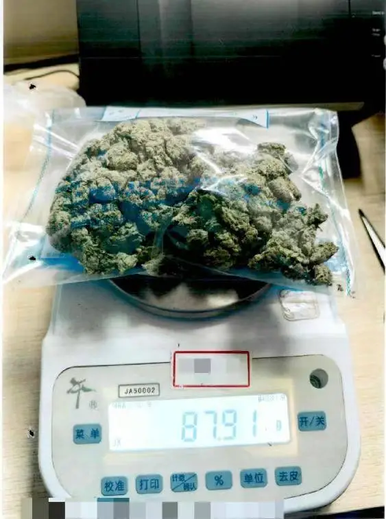 养猪场变大麻种植基地？27岁男子为快速致富走上犯罪道路  第2张