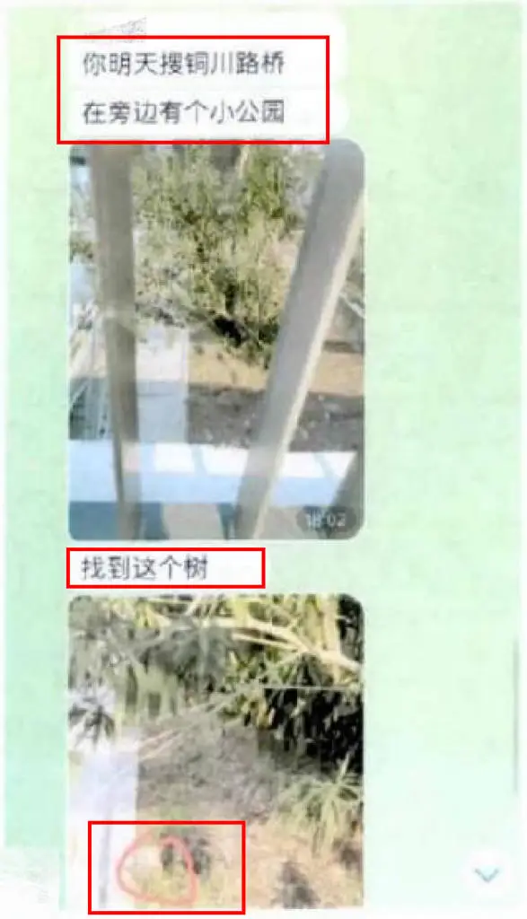 养猪场变大麻种植基地？27岁男子为快速致富走上犯罪道路  第4张