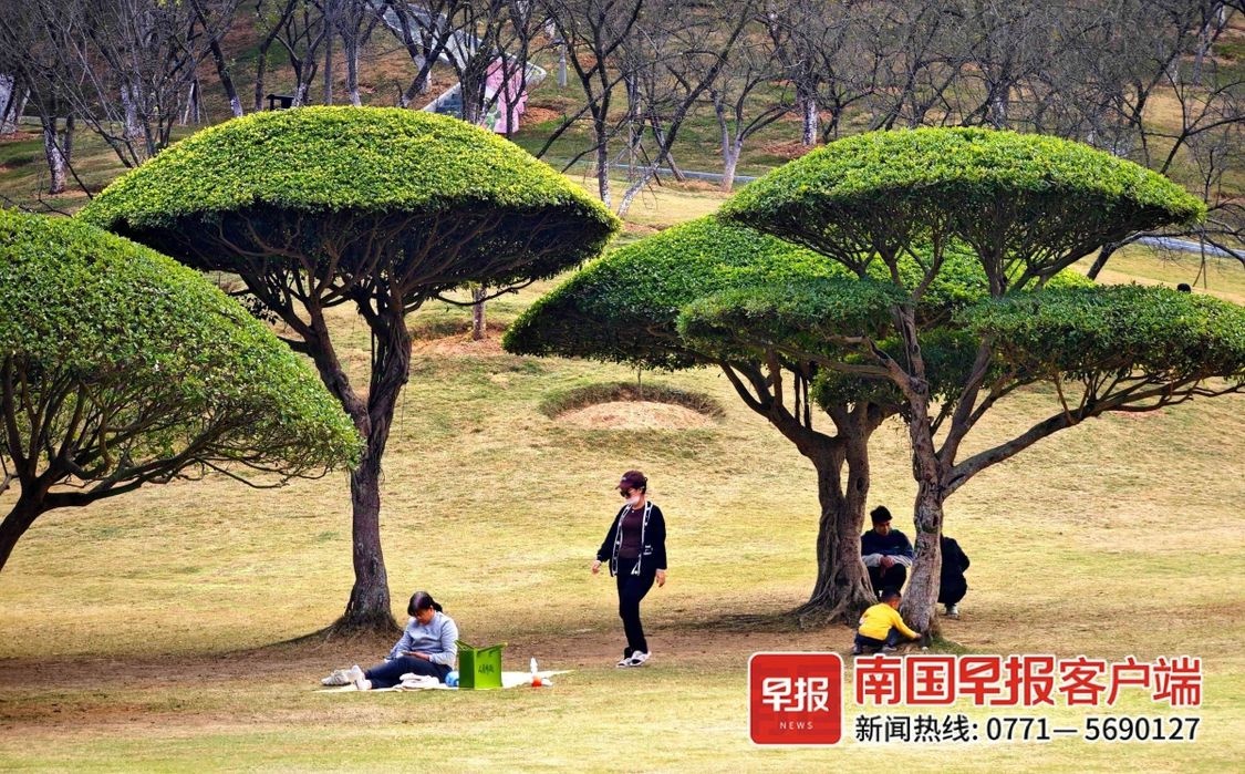 广西未来三天晴朗干燥，昼夜温差大，最低气温或降至-3℃  第2张