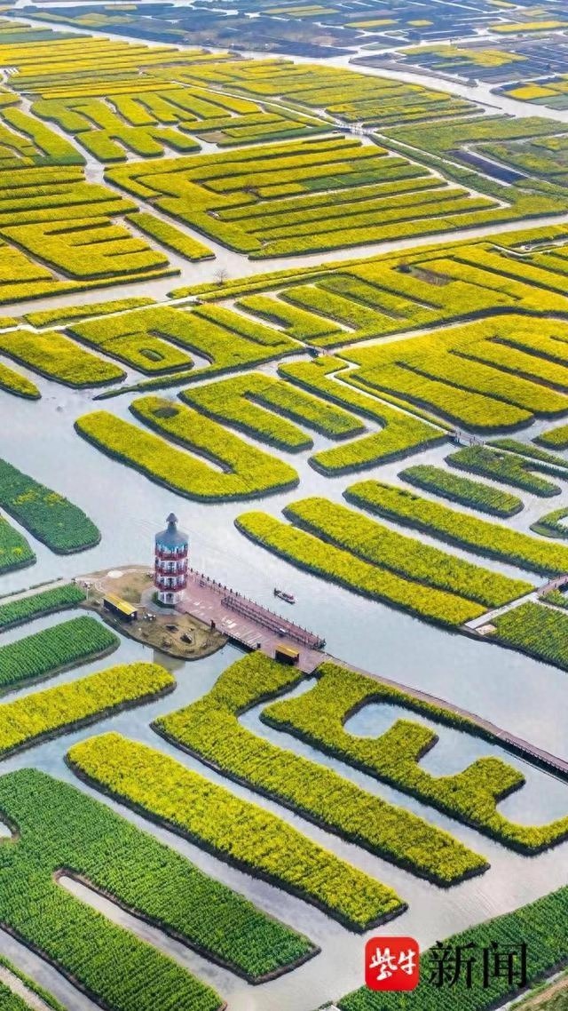 兴化市荣膺国家历史文化名城，7000年文明史震撼揭秘