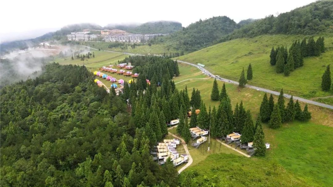 云阳创新模式盘活森林草地资源，1.8亿融资创全国首例  第4张