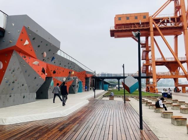 斜土街道荣获2024徐汇市民体育节全民健身办赛奖，背后故事令人惊叹  第6张