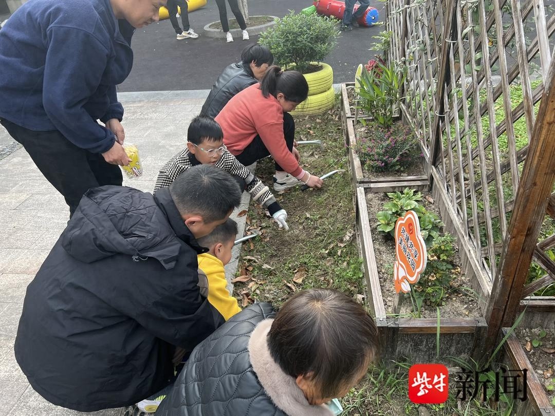 亲子共享花园种植活动：十组家庭齐动手，郁金香绽放的秘密等你来发现