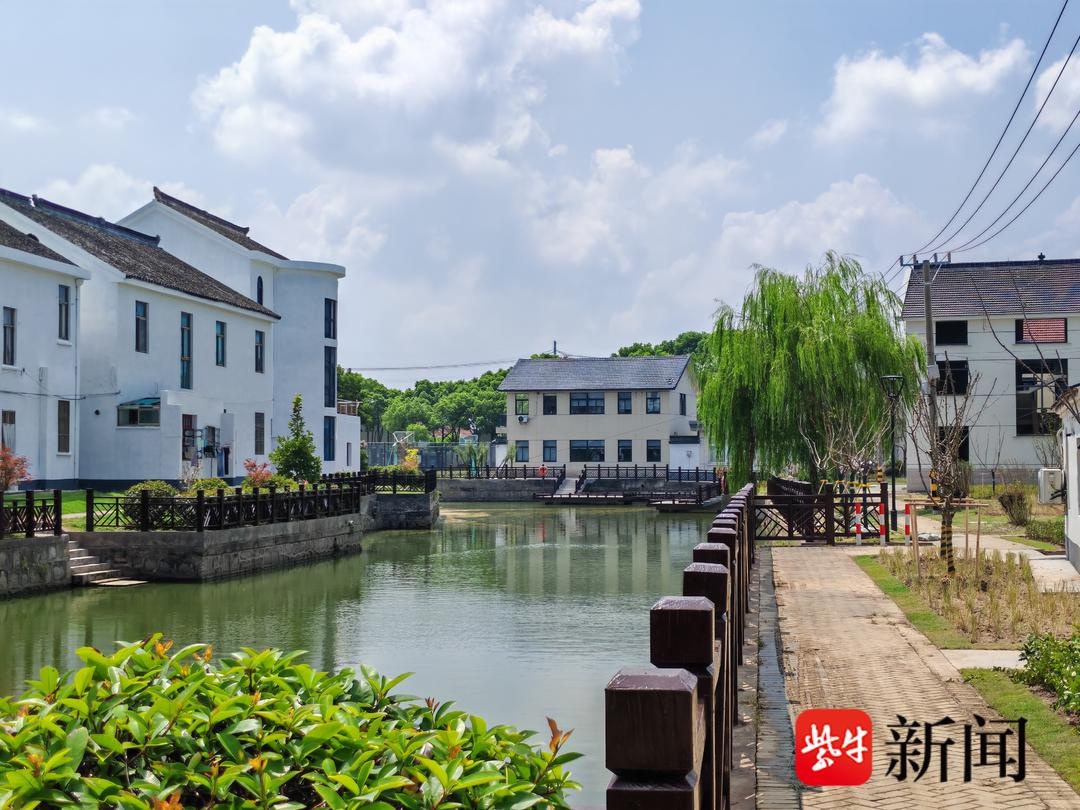 90万元打造梦幻荷花池，亲水栈道让你与自然零距离接触  第3张